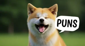 akita puns