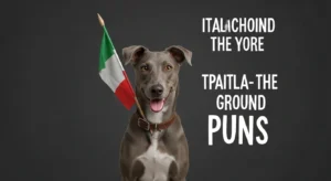 italian greyhound puns